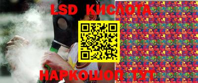 крисы Вышний Волочёк