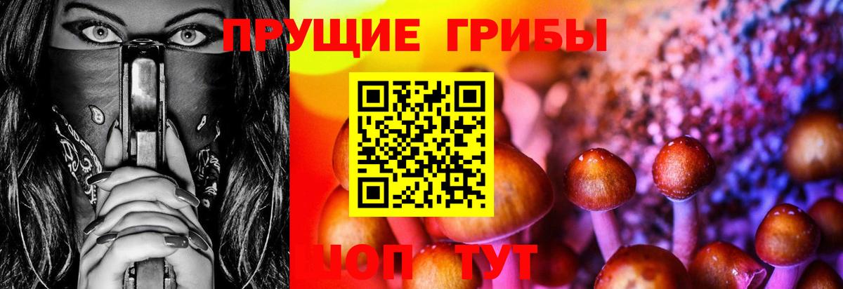 Галлюциногенные грибы Cubensis Братск