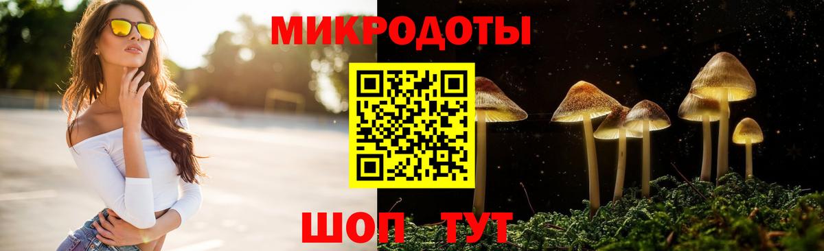 магазин  наркотиков  Псилоцибиновые грибы GOLDEN TEACHER  Вход с VPN  Братск 